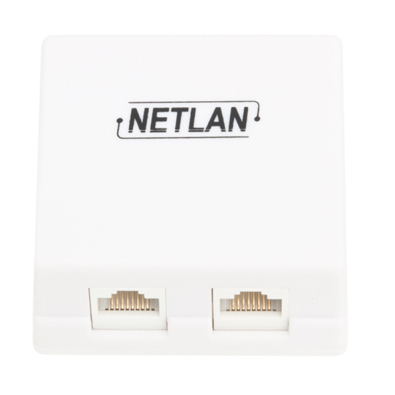 Настенная розетка NETLAN, 2 порта, Кат.5e, RJ45/8P8C, 110, T568A/B, неэкранированная, белая, 10 шт